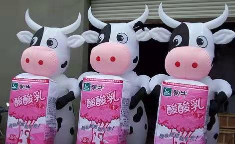 蚌山牛奶厂广告气模